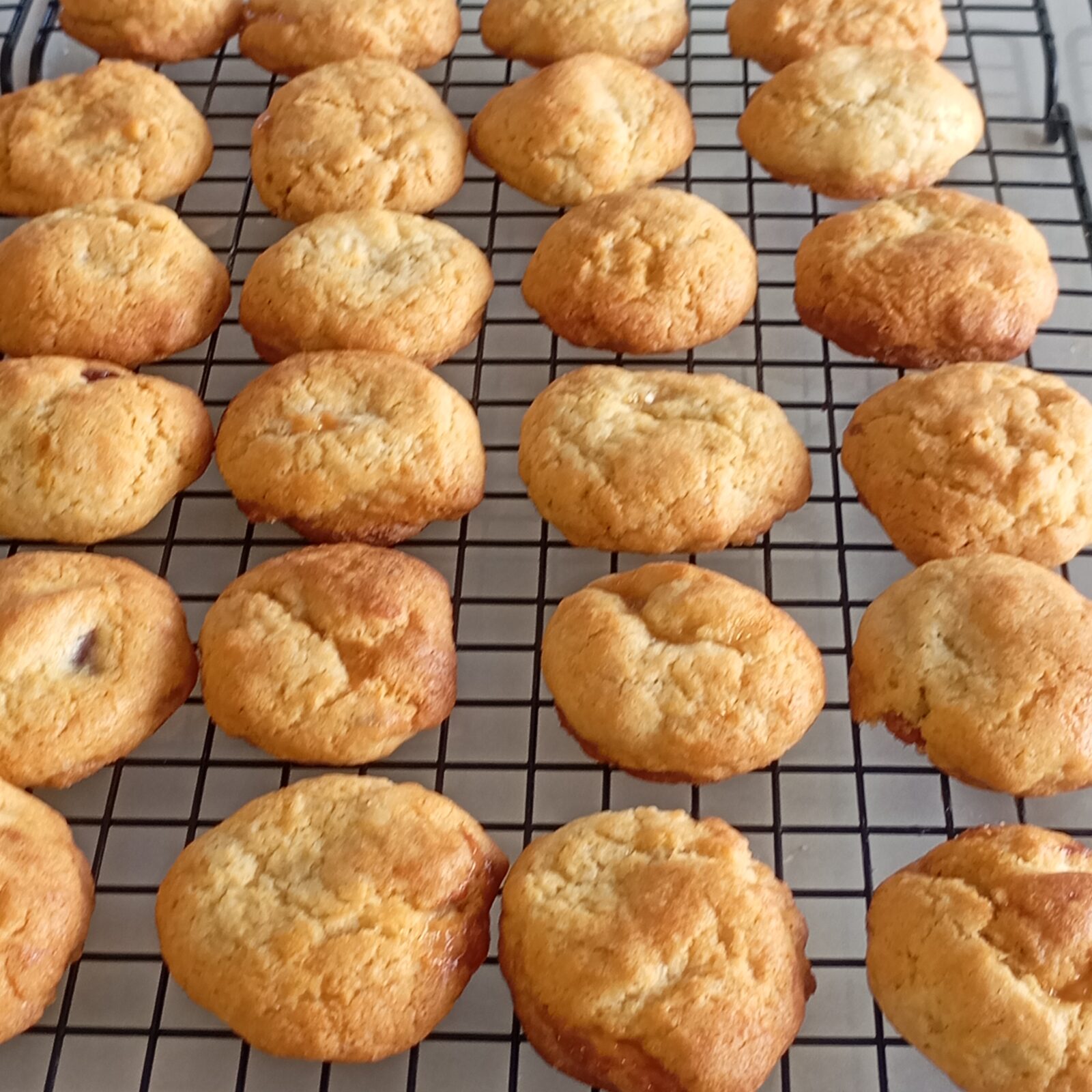 Fileiras de biscoitos artesanais esfriando na grade